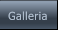 Galleria Galleria